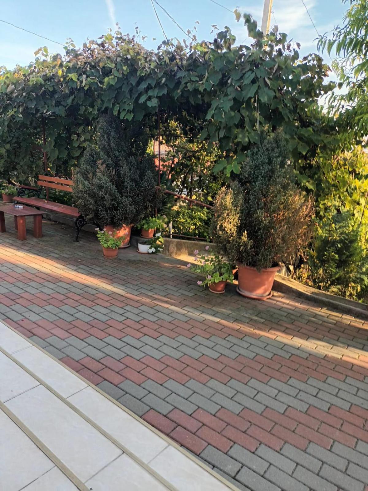 Casa Matei Villa Turda Bagian luar foto