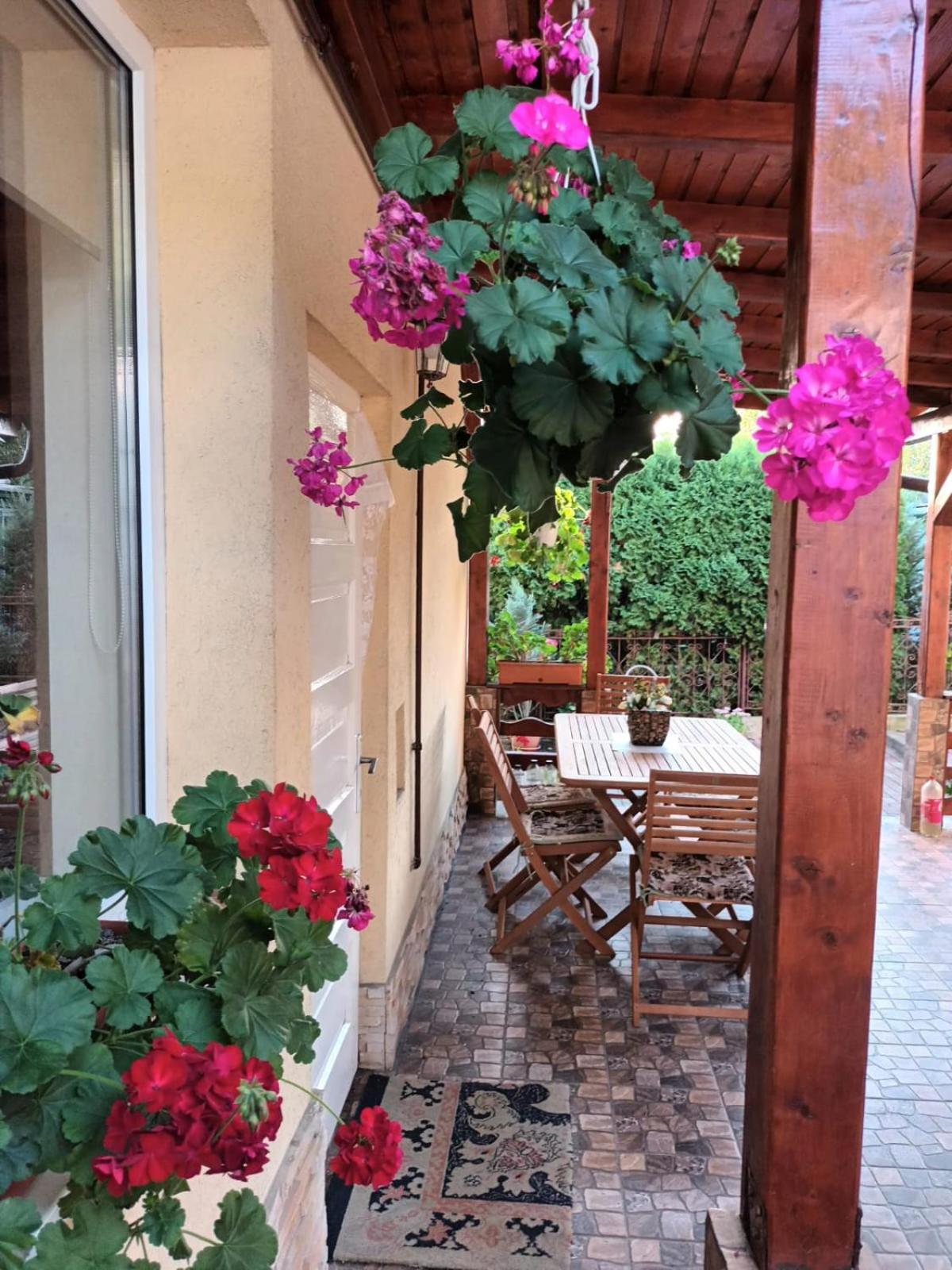 Casa Matei Villa Turda Bagian luar foto